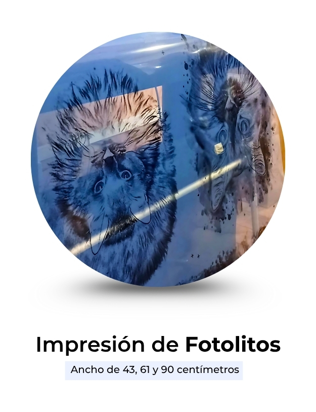 Impresion de fotolitos para serigrafia